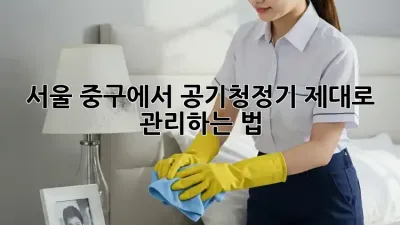 서울 중구에서 공기청정기, 제대로 관리하는 법